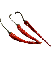 Chilli Cocktail Garnish