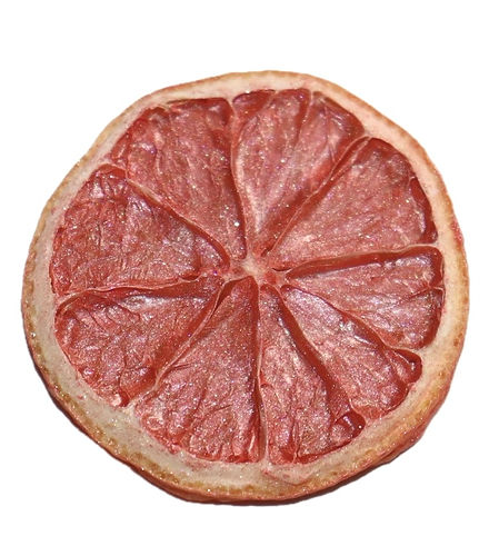 Coral Cocktail Garnish