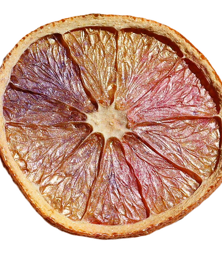 Deluxe Orange Cocktail Garnish